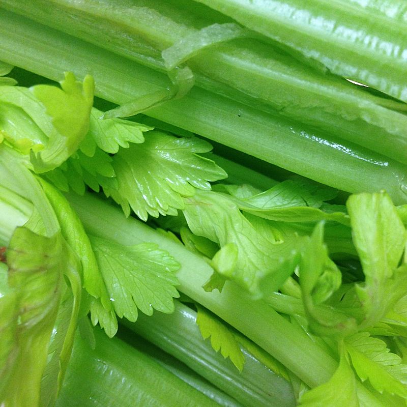 Celery is a delightful health food - very low in calories, high in fiber with a delightful color taste and texture 