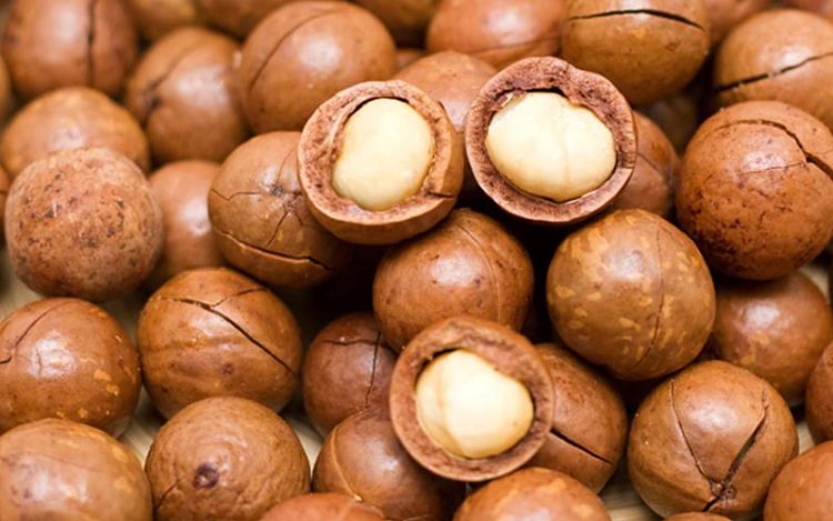 Macadamia nuts from Australia are magnificent with fabulous nutrients and more protein and less fat than other types of nuts