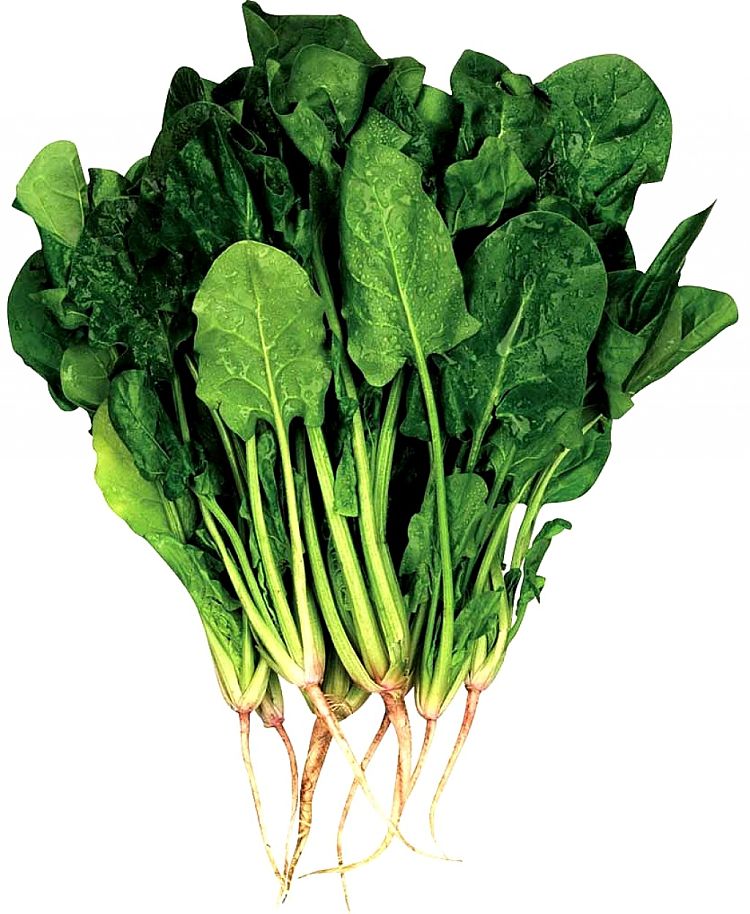 Spinach has an outstanding array of nutrients as shown in its Nutrition data and provides many health benefits. The culinary uses are diverse and varied