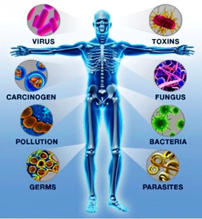 Your body is under constant attack from various types of pathogens. Many whole foods boost immunity naturally.