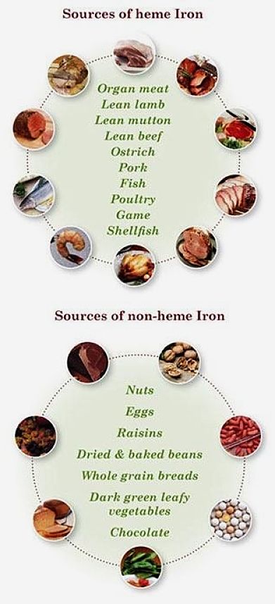 Sources of Heme and Non-Heme Iron in foods