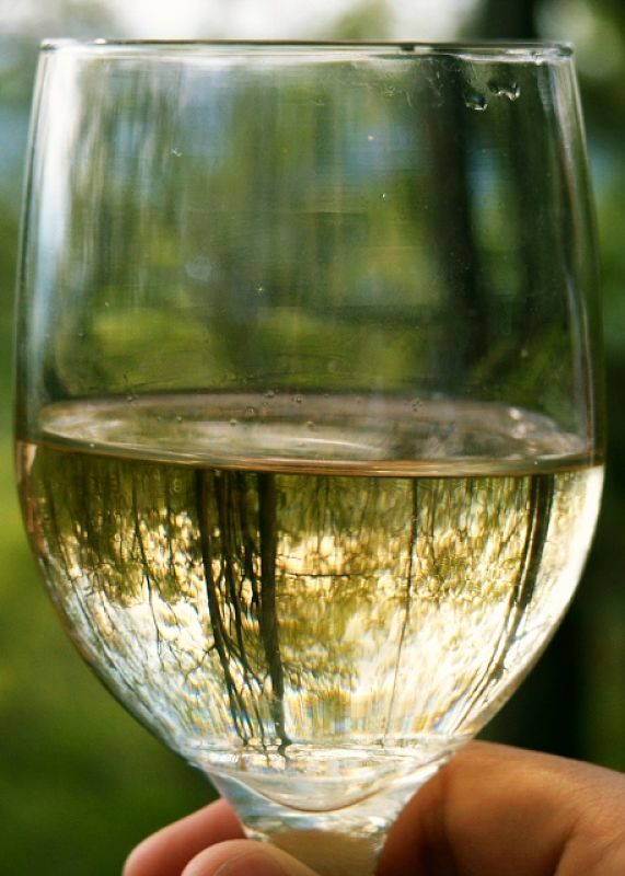 White wines typically have lower calories than red wines, but there is a wide range of values